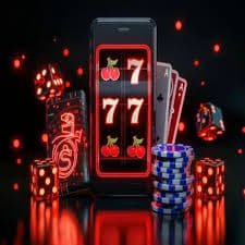 556bet login