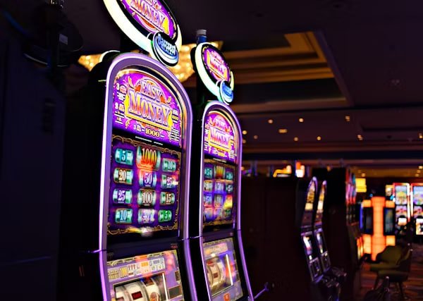 556bet login