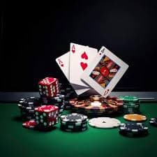 556bet login
