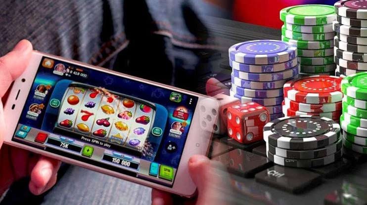 556bet login
